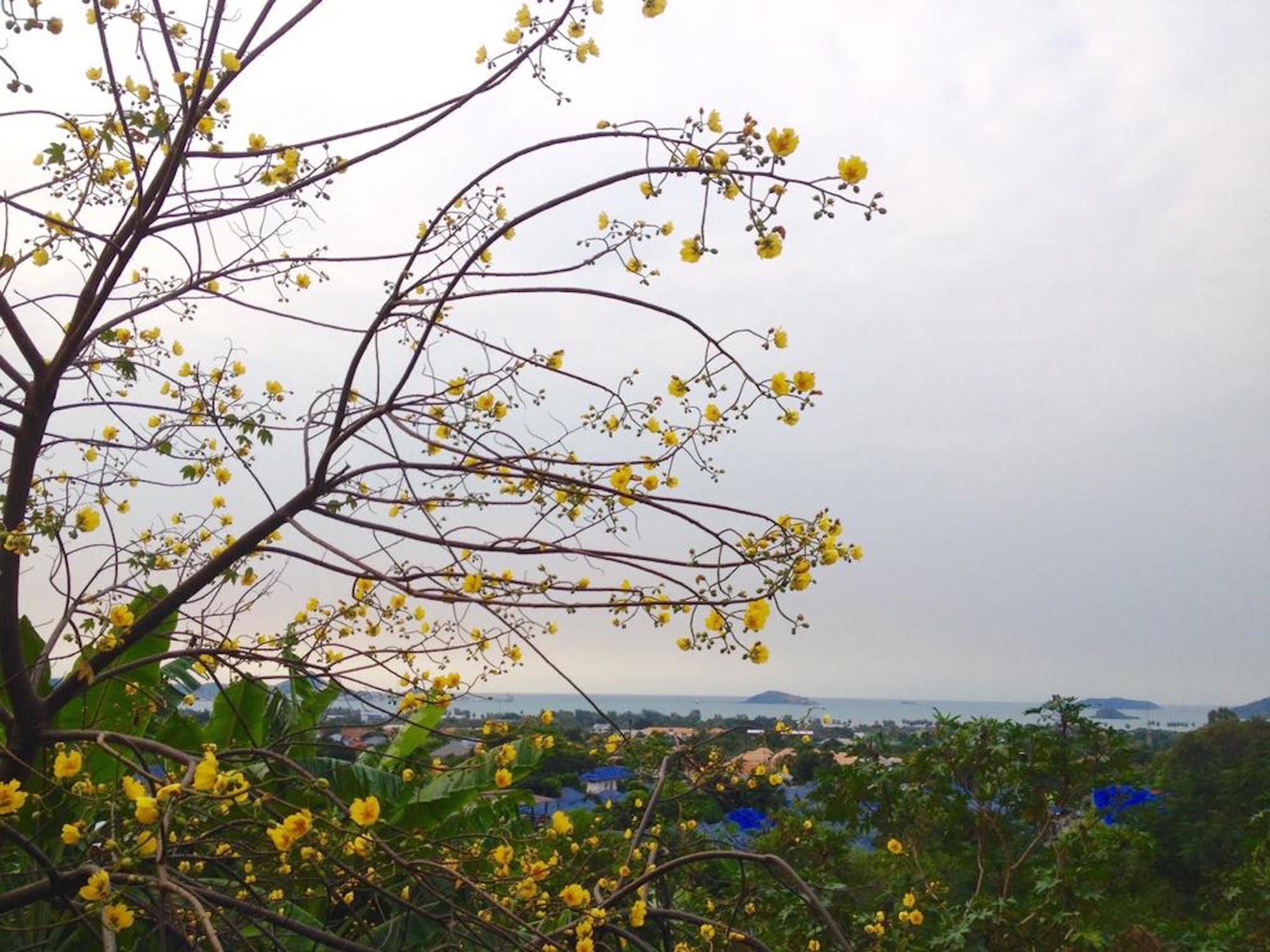 Makmai Sailom Heights Hotel Sattahip Exterior photo